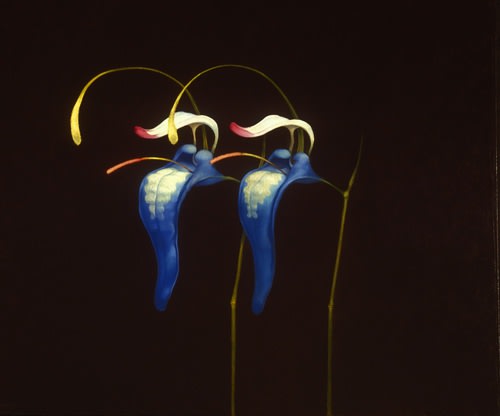 New Delights, Michael Brown