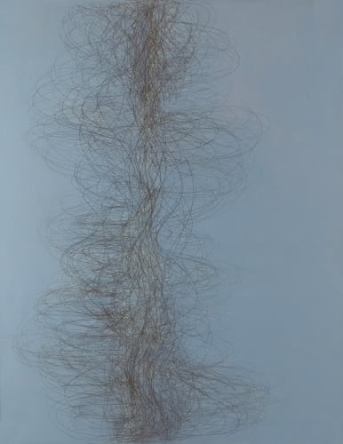 SENTINAL, 2019