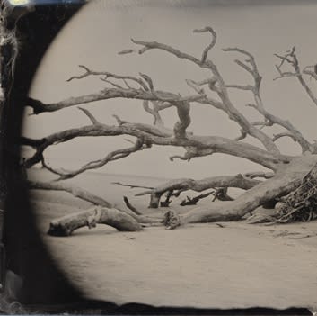 Abandoned, Joni Sternbach