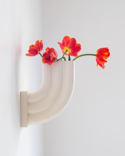 Maxime Louis-Courcier