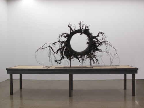 DOUGLAS WHITE, BLACK SUN, 2010