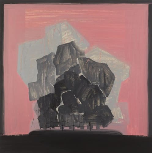 Sinéad Ní Mhaonaigh