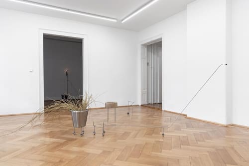 Alice Maher | Footfalls