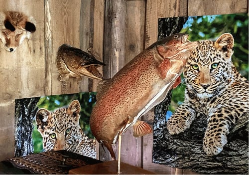 Ulrich Vogl | Die launische Forelle