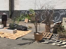 Elaine Byrne – Eco Shifters