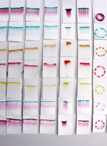 Vanessa Donoso-López | No Fixed Colour Continuum