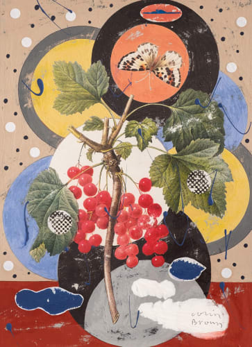 COLIN BROWN | a new direction, six new paintings inspired by botanical painter Pierre-Joseph Redoute
