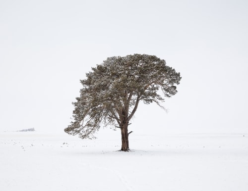 Mikael Lafontan Baïkal 4, 2018 Print on Fine Art paper, American box 100 x 120 cm (39 x 47 in) Edition of 10 + 3 AP