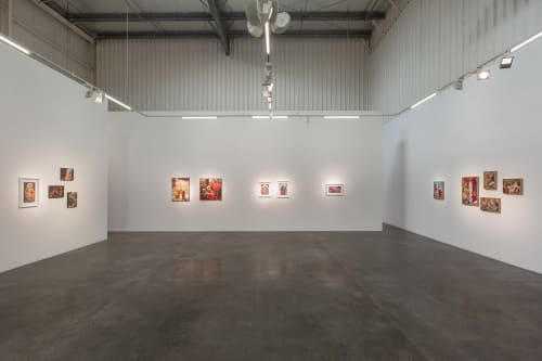 Farhad Ahrarnia: The Lacemaker, Solo Exhibition