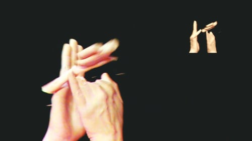 Hamra Abbas . Why Do Fake Hands Not Clap . 2010