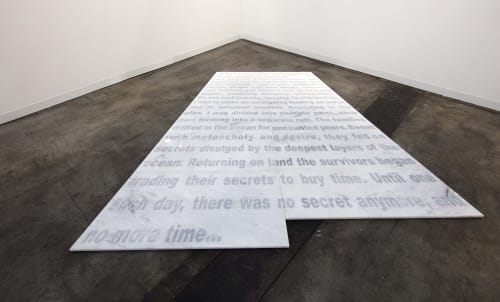 Hamra Abbas . Please Do Not Step: Loss of A Magnificent Story . 2017
