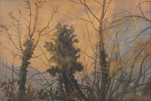 Wang Hailin 王海琳