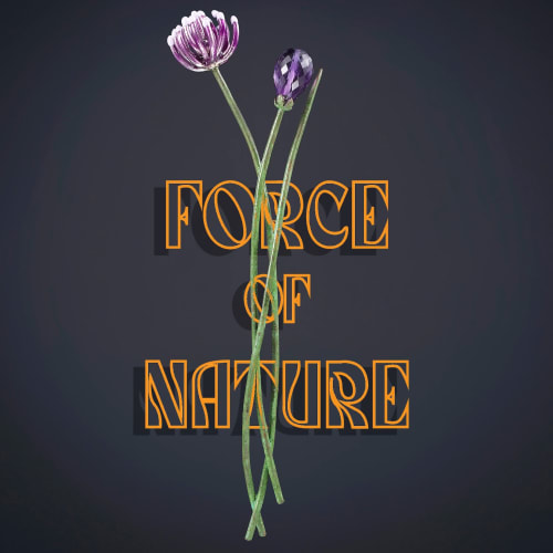 Force of Nature, This jewellery exhibition explores the timeless relationship between flora and adornment.