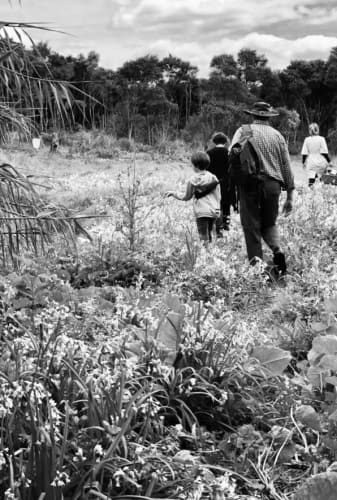 Art of Foraging Walks - Summer, Auckland, January 2021
