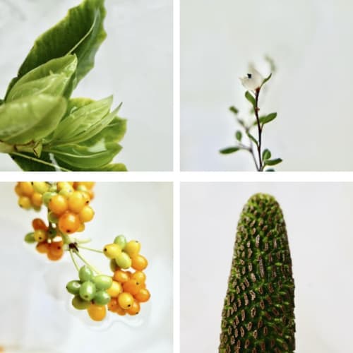 Art of Foraging | Autumn, May 2022