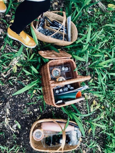 Art of Foraging Walks - Summer, Auckland, January 2021