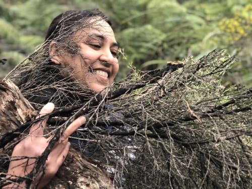 Native floristry of New Zealand