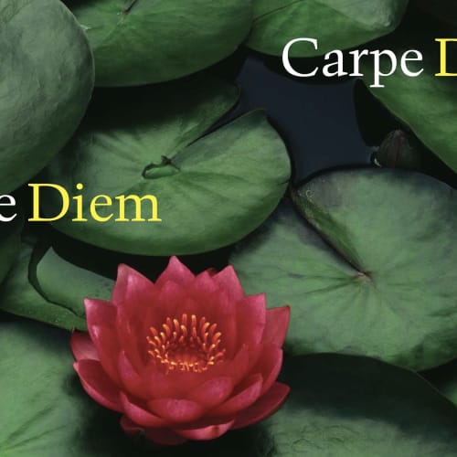 Carpe Diem Spring 2009