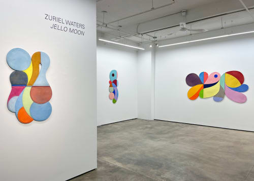 Installation view of Zuriel Water's solo show, "Jello Moon."