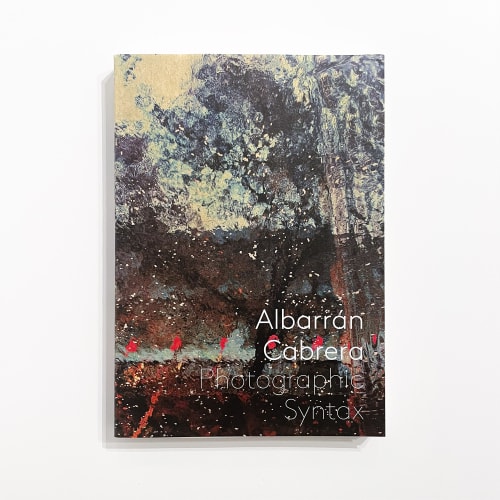 Albarrán Cabrera, Photographic Syntax (Signed)