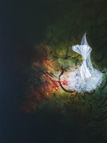 Pooya, Floating Objects on the Garden, 2009