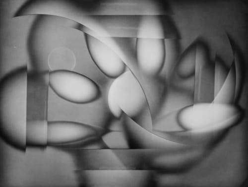Flowers reflect in abstract form, bouquet of tulips, black and white print, egg shape tulips, unique print, silver gelatin luminogram by Michael G Jackson available to purchase mmx gallery, psychedelic black and white flowers