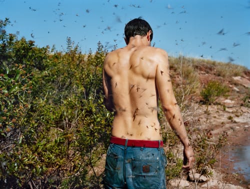 ART MARKET San Francisco , San Francisco