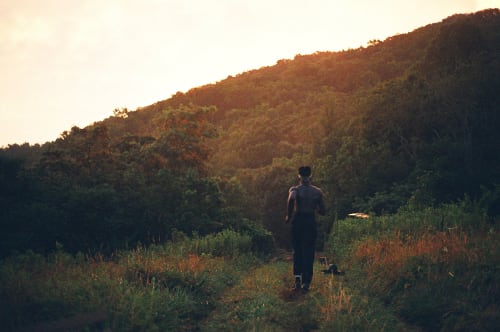 Moses Sumney: Blackalachia