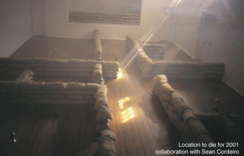 Claire Healy & Sean Cordeiro: Location to Die For, Kudos Gallery | Sydney