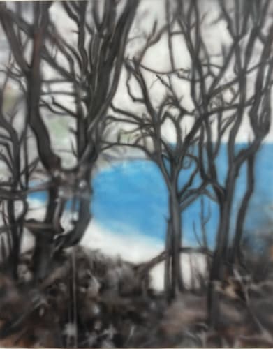 Fiona Lowry. Curlew Camp commission, 2025. acrylic on canvas 122 x 156 cm