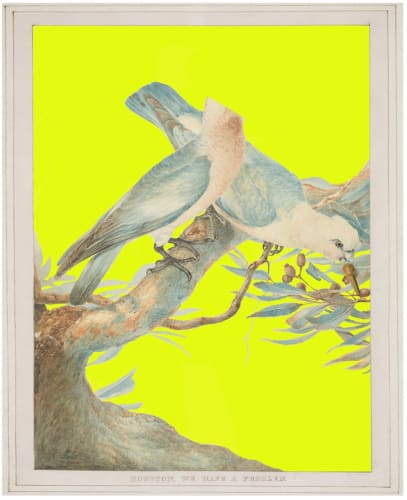 Joan Ross: I like to name everything after myself., N.Smith Gallery