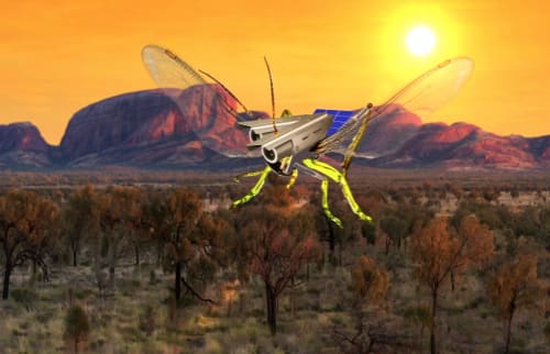 CTRL ALT SHIFT - new perspectives in art and technology, NSW Education