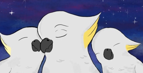 Dylan Mooney: Marringa Lullaby.