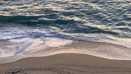 Day 12 Journey into Discovery, Dia 12 The ocean and the whales migration