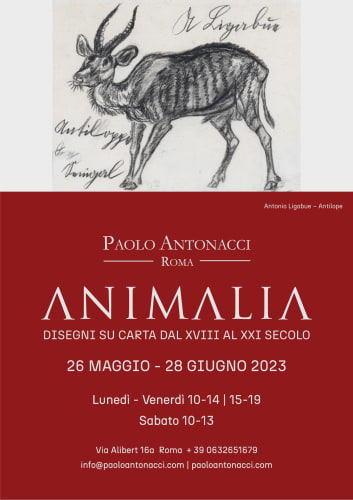 ANIMALIA , Drawings on paper from the 18th to the 21st century