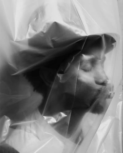 Face of visual artist Alexis Chabala in profile, wearing a hat under a transparent plastic cover