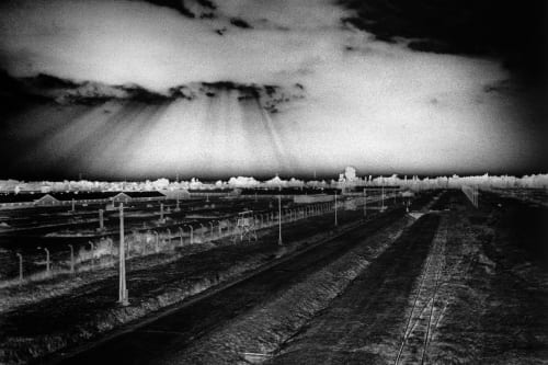 Judy Glickman Lauder: Beyond the Shadows