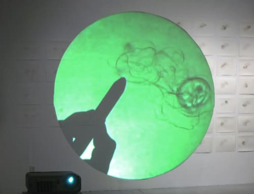 Annie Thibault, Apprivoisements fugaces: La danse d’Euglena (cercle vert), 2006, projection lumineuse, 44 cm diam., 4:57 minutes