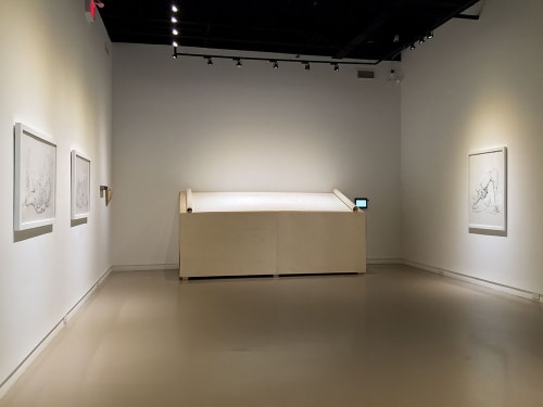 Naomi Cook @ Centre Space (Toronto), Allegory Algorithm