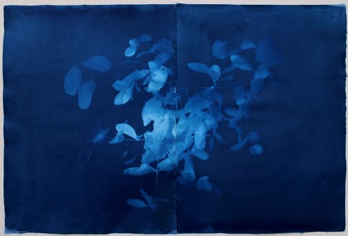 Loren Williams: Boisé bleu