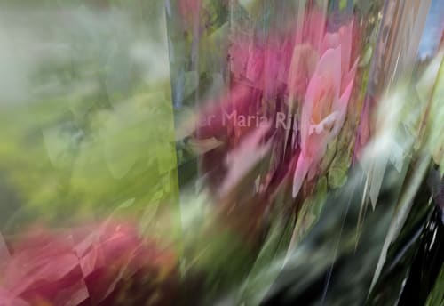 Luc Courchesne : Wien Chiaroscuro — Extraits