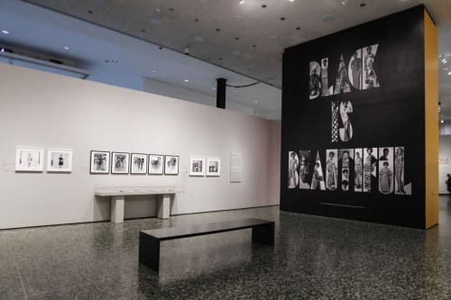 Icons of Style: A Century of Fashion Photography (2019) (installation view). Courtesy of Museum of Fine Arts, Houston.
