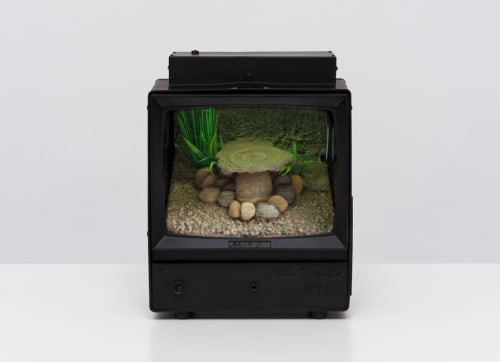 Research and Development: Carl Cheng