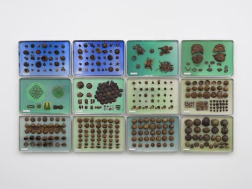 Installation view of Carl Cheng, "Nature Laboratory Collection 3.0" (1970–2022), avocado skin sculptures, adhesive, 12 cafeteria trays, dimensions variable (photo by Jeff McLane, image courtesy the artist and Philip Martin Gallery, Los Angeles)