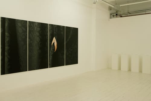Parastou Forouhar, Reimaging the Illusion