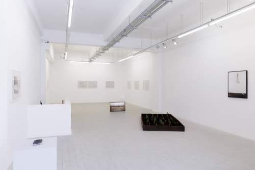 Fatma Bucak, Sticks and Stones