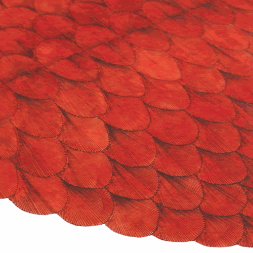 The Armory Show , Jyll Bradley | Susan Hefuna | Gulay Semercioglu