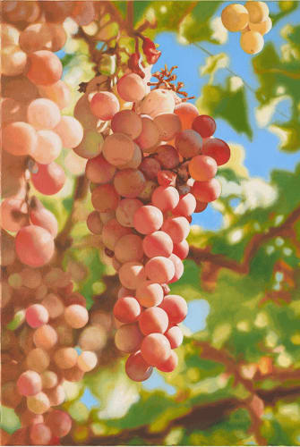 Mustafa Hulusi Cyprus Realism (Verigo Grape 4) SM 2019 Oil on canvas 76 x 51 cm