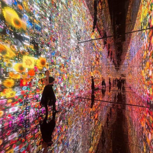 REFİK ANADOL AT SAATCHI GALLERY