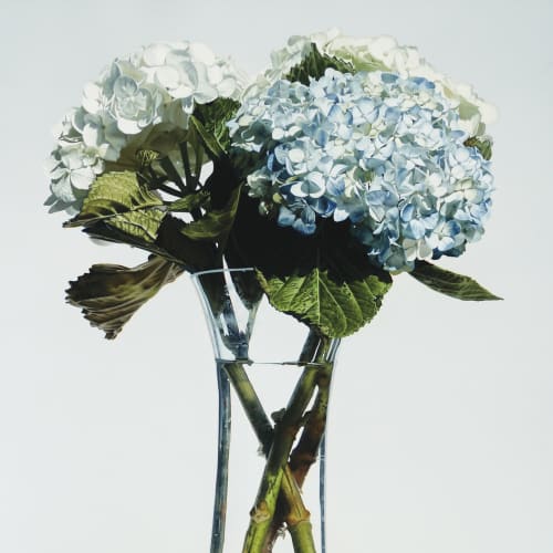 Chelsea Flower Show, floral paintings for the Chelsea Flower Show